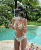 ビキニ水着セクシーY2Kハイウエストローウエストセクシー三角ビキニ温泉ビーチ海 WQ7-FH-FAN003