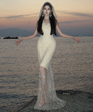 ロングドレスキラキラセクシーおしゃれ誕生日パーティー透明感ナイトクラブ WQ2-XHY919171