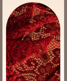 【9色】 下着 新作 セクシー  ローライズ レース シームレスショーツ 薄手 通気 コットン 抗菌加工 大人可愛い ランジェリー LW8-RS282#