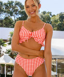 ビキニ水着フリルチック柄モノキニセクシー体型カバービーチ海モノキニタンキニ旅行 WQ7-XYX-ZK2694