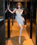 【2色】ミニドレス キャバドレス セクシー キャミソール 盛れるカップ付き 谷間魅せ ボディコン ビジュー 立体フラワーモチーフ 透け感 ナイトワーク クラブ JC2-BX0126