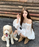 Lady's coco ミニドレス キャバドレス セクシー 上品 オフショルダー フリルデザイン シャツワン 肩見せ ピース デート お出かけ JC2-XKDD335B-6398-Sep26