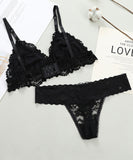 【上下セット】2色 ブラジャー パンティパンツ レース 透け感 かわいい MY8-XJS-3820