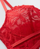 【上下セット】ブラジャー パンティパンツ 新作 透け感 かわいい MY8-SMX2012