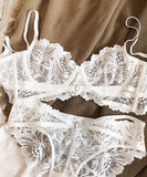 【上下セット】ブラジャー パンティパンツ 新作 透け感 かわいい MY8-SMX2012