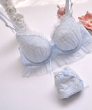 【5色上下セット】ランジェリー ブラジャー レース セクシー 刺繍 YT8-DLXB030-2