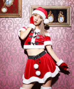 サンタコスチューム 即日発送可能 即日発送】【サンタコス 5点セット】【XS-XLサイズ/4カラー