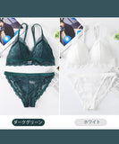 レディース ブラジャー ブラ ショーツ 上下 セット 女性 下着 レース 大人 リボン セクシーMY9-005