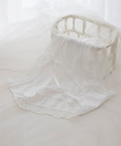 【5色】下着 パンツ かわいい レース 透け感 MY8-TWYH1026